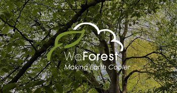 WeForest