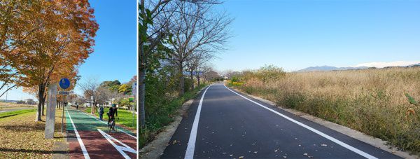 サイクルトレイン