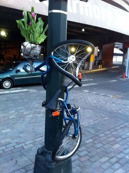 TwistedBicycle Planter, www.bernardklevickas.com