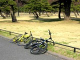 スポーツタイプの自転車
