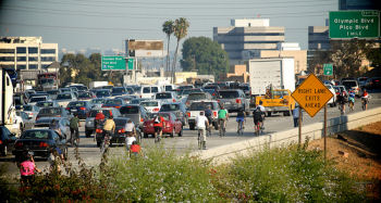 Photos by Steven Rood,  http://www.crimanimalz.com