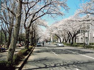 ��ž��������