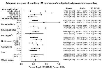 ��ư��������