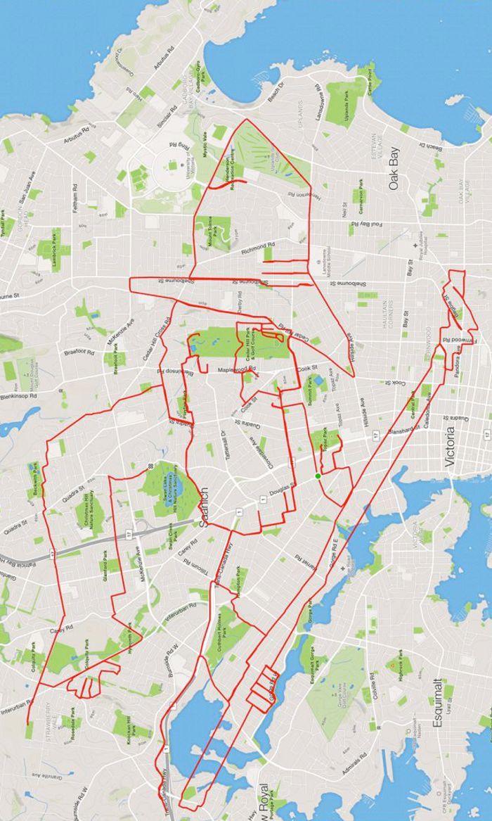 Strava