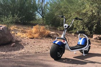 PHAT SCOOTER