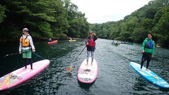 �����ݰ�ģ