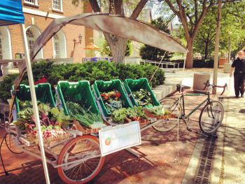 Folding Farm