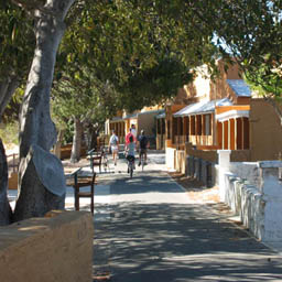 ���åȥͥ�����