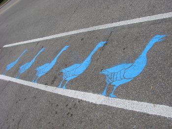 Roadsworth, roadsworth.com