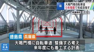 �����綶��ž��ƻ