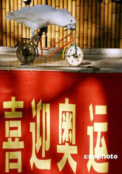 ������⼫ž�֤�