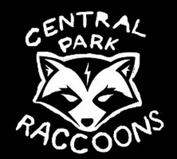 CENTRAL PARK RACCOONS