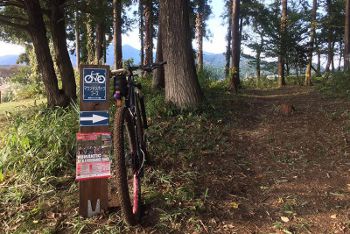 �ͣԣ¥ե������