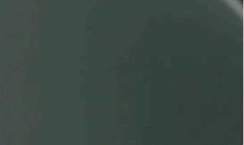 Echo Pro