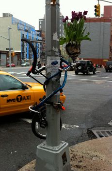 Twisted Bicycle Planter, www.bernardklevickas.com