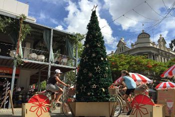 Christmas Tree go round