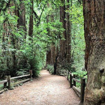 Great American Rail-Trail