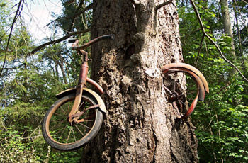 取り込まれた自転車