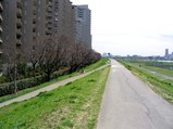 自転車専用道