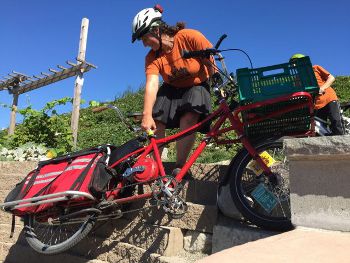 Seattle Disaster Relief Trials