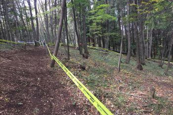 �ͣԣ¥ե������