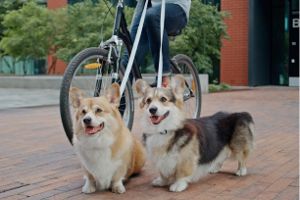 ���λ���