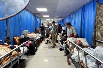 Gaza