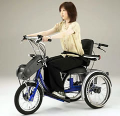 手でこぐ車いす