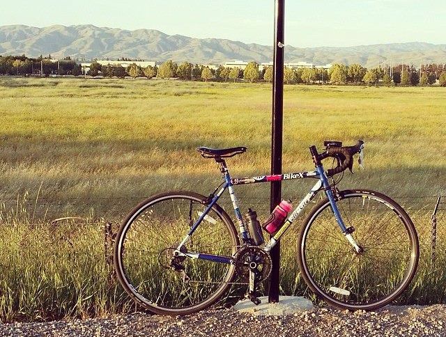 Cowgirl Bike Courier