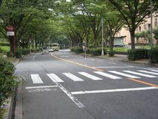 まちなか自転車空間コンクール, 自転車文化タウンづくりの会