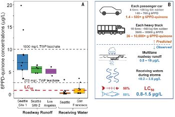 �����䥴��