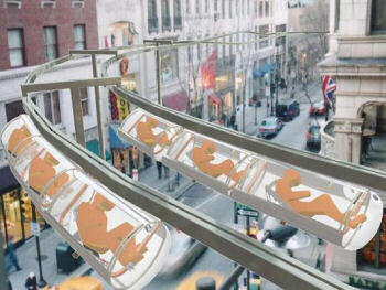 ̤����ԻԸ���