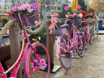 flowerbikeman