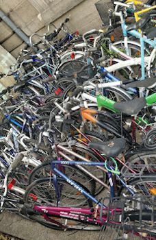 Bikes Without Borders