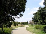 知らない道も多い