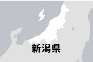 ������Ͽ