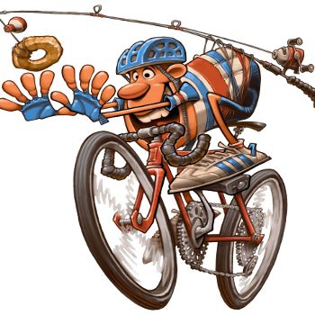 Tour de Donut