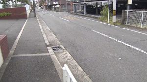 �ܿ���ƨ��