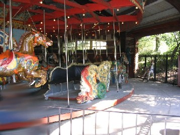 ˥塼衼Υȥѡˤ꡼ɤݤĤȷäƤ