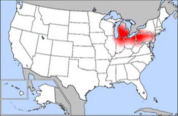 Rust-belt,under the GNU Free License.