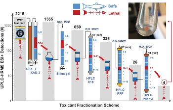 �����䥴��