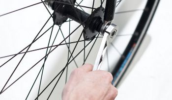 The Nutter, www.full-windsor.com