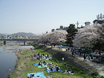 Photo by Moja,licensed under the Creative Commons Attribution ShareAlike 3.0 Unported.