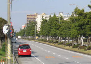 路肩が広い例。赤いクルマの止まっている部分すべて路肩。ただ、そのままでは違法駐車されてしまうことも多い。