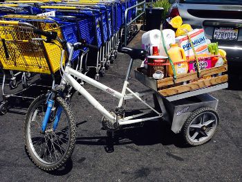 Brizzly Electric SPORTS TRUCK 