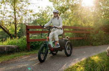 Velotric