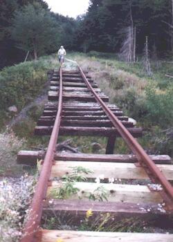 �졼�뤵������С�����