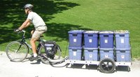 Bike Trailers