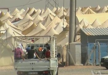 This image is in the public domain. 