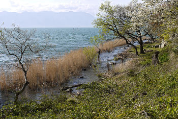 Photo by 663highland,licensed under the Creative Commons Attribution ShareAlike 3.0 Unported.